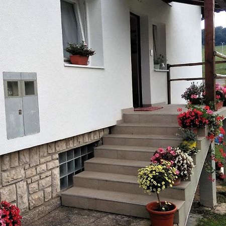Guesthouse Bor Plitvice Lakes พลิตวิชกา เยเซรา ภายนอก รูปภาพ