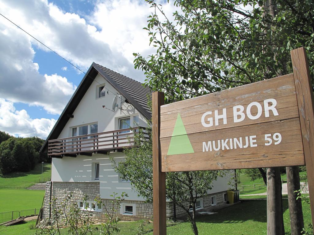 Guesthouse Bor Plitvice Lakes พลิตวิชกา เยเซรา ภายนอก รูปภาพ