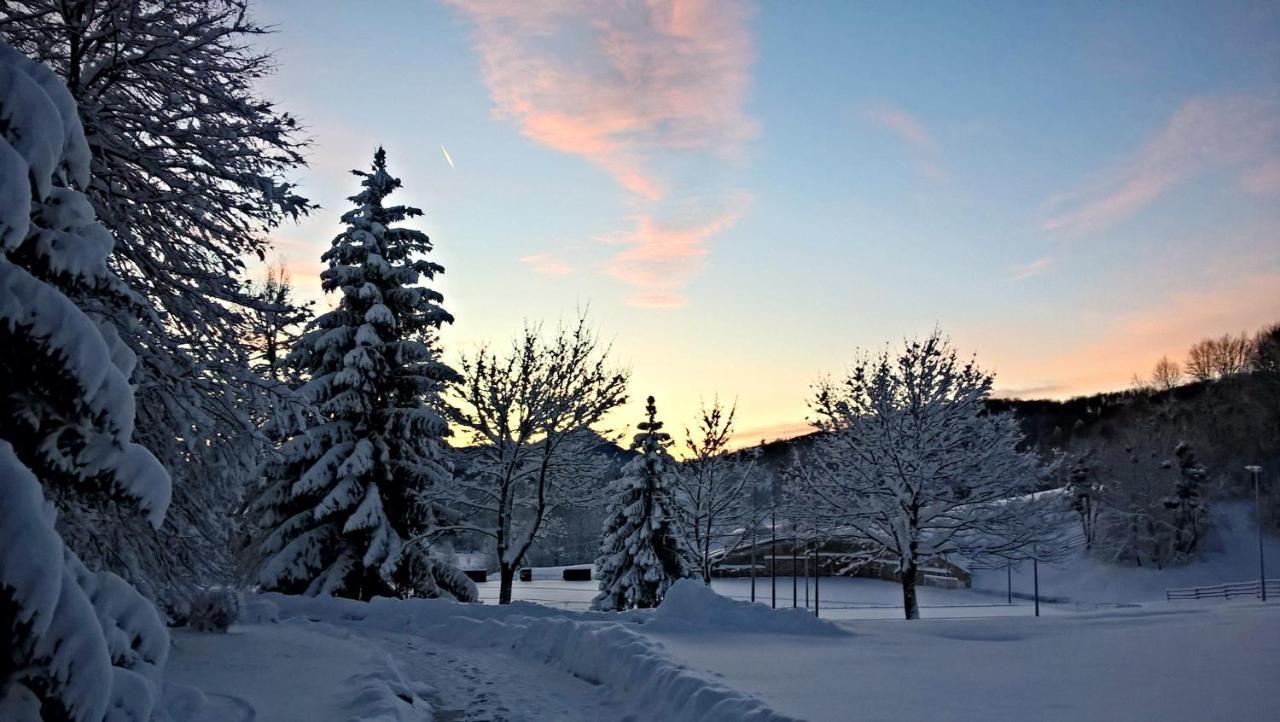 Guesthouse Bor Plitvice Lakes พลิตวิชกา เยเซรา ภายนอก รูปภาพ